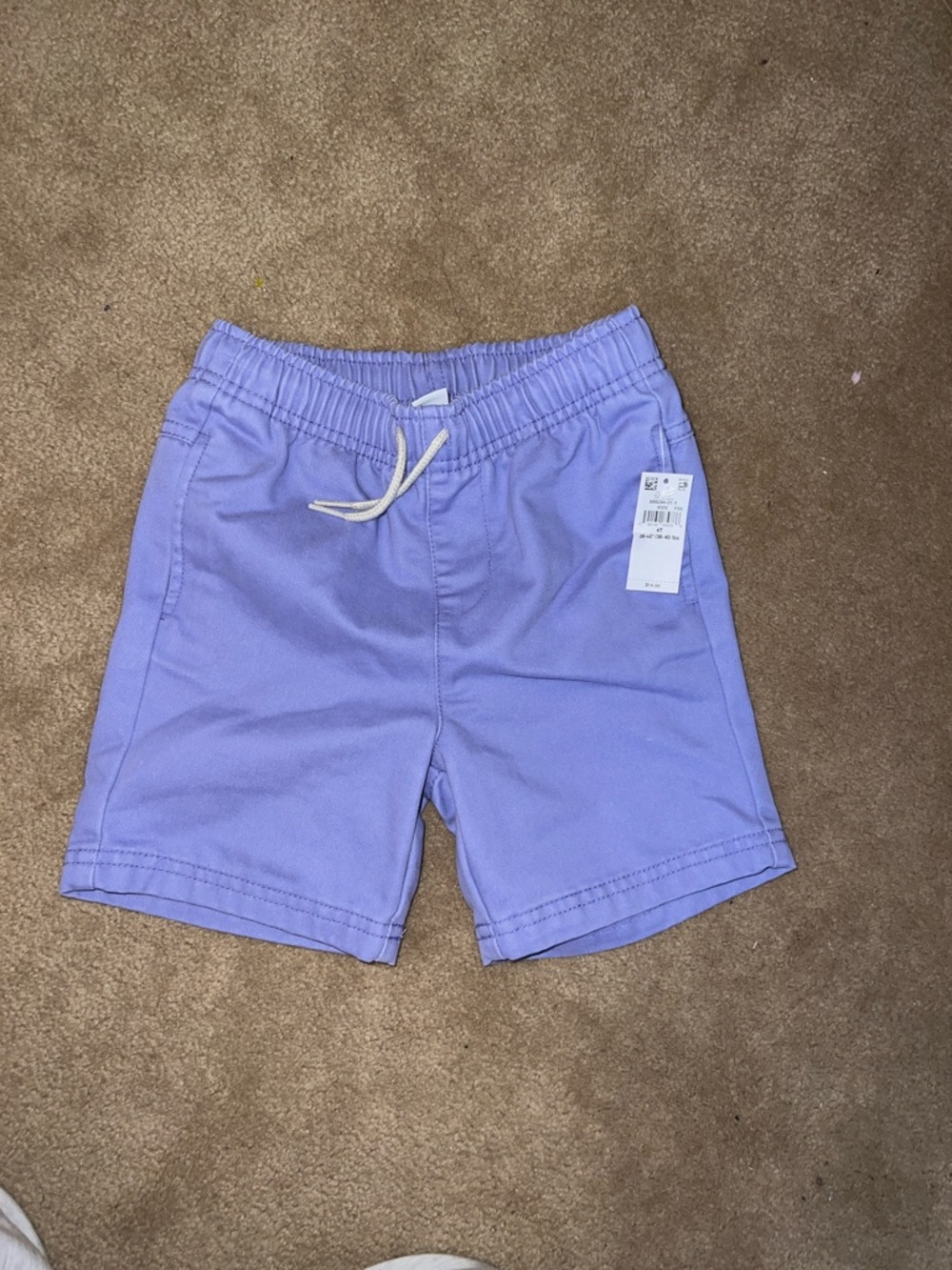Lilac Elastic Waist Casual Shorts